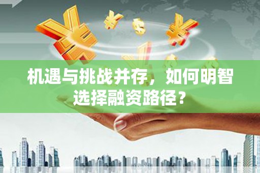 永新机遇与挑战并存，如何明智选择融资路径？