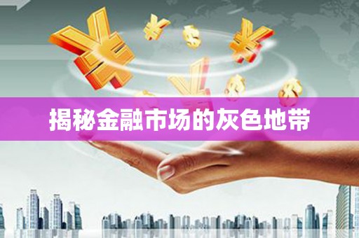 永新揭秘金融市场的灰色地带