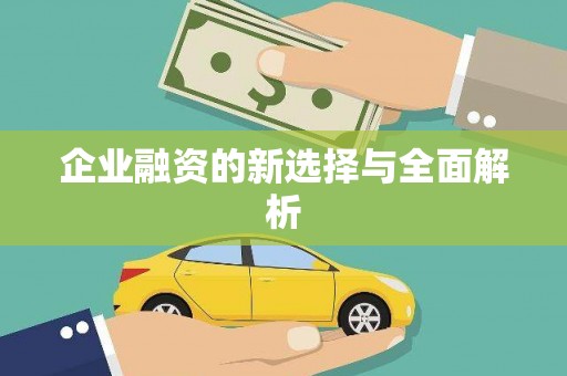 永新企业融资的新选择与全面解析