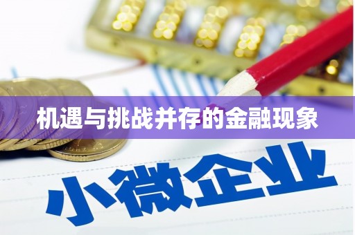 永新机遇与挑战并存的金融现象