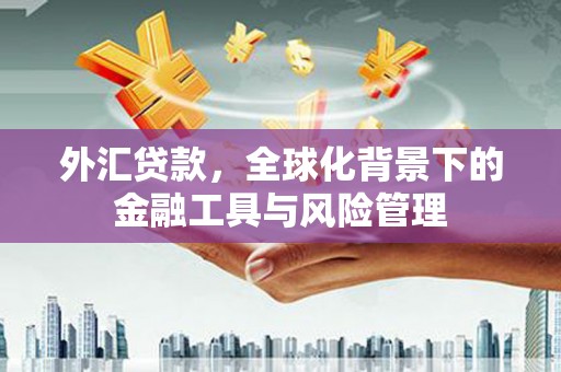 永新外汇贷款，全球化背景下的金融工具与风险管理