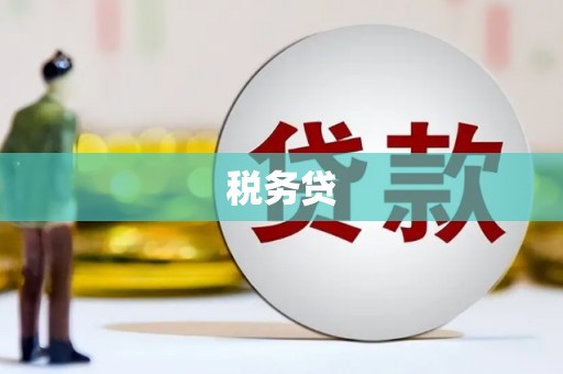 永新税务贷