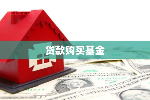 永新贷款购买基金